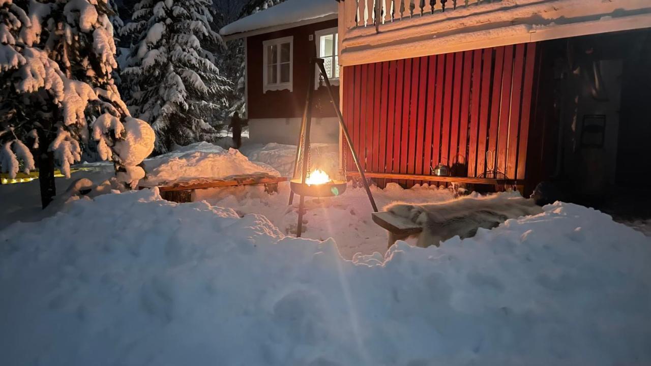 Mountain Cabin Lofsdalen Esterno foto