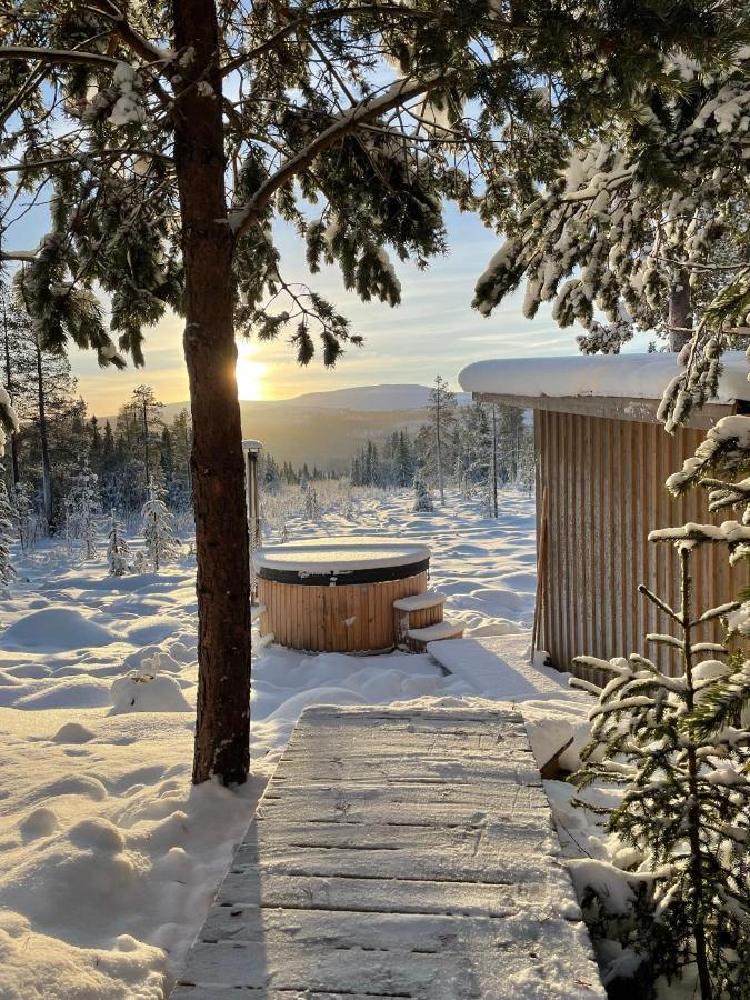 Mountain Cabin Lofsdalen Esterno foto