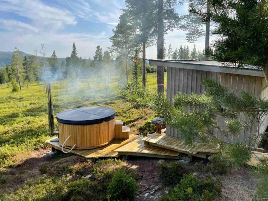 Mountain Cabin Lofsdalen Esterno foto