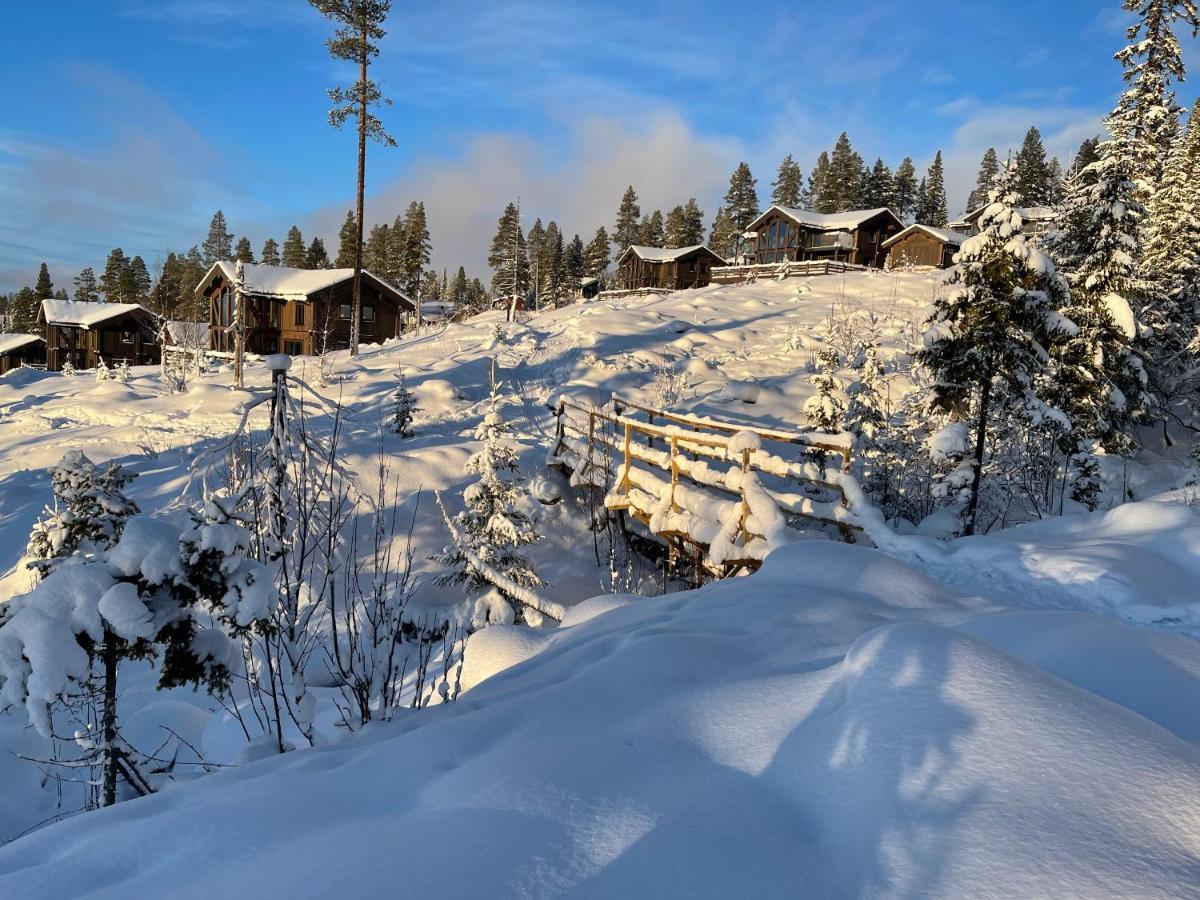 Mountain Cabin Lofsdalen Esterno foto
