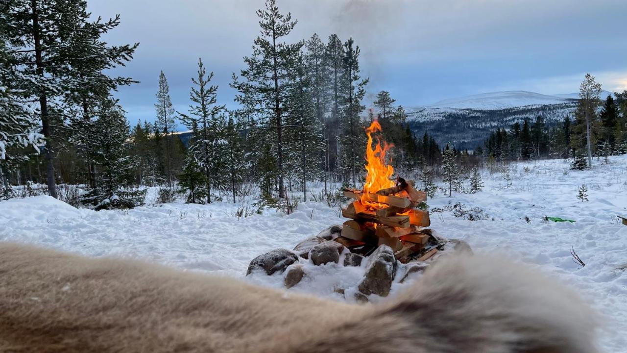 Mountain Cabin Lofsdalen Esterno foto